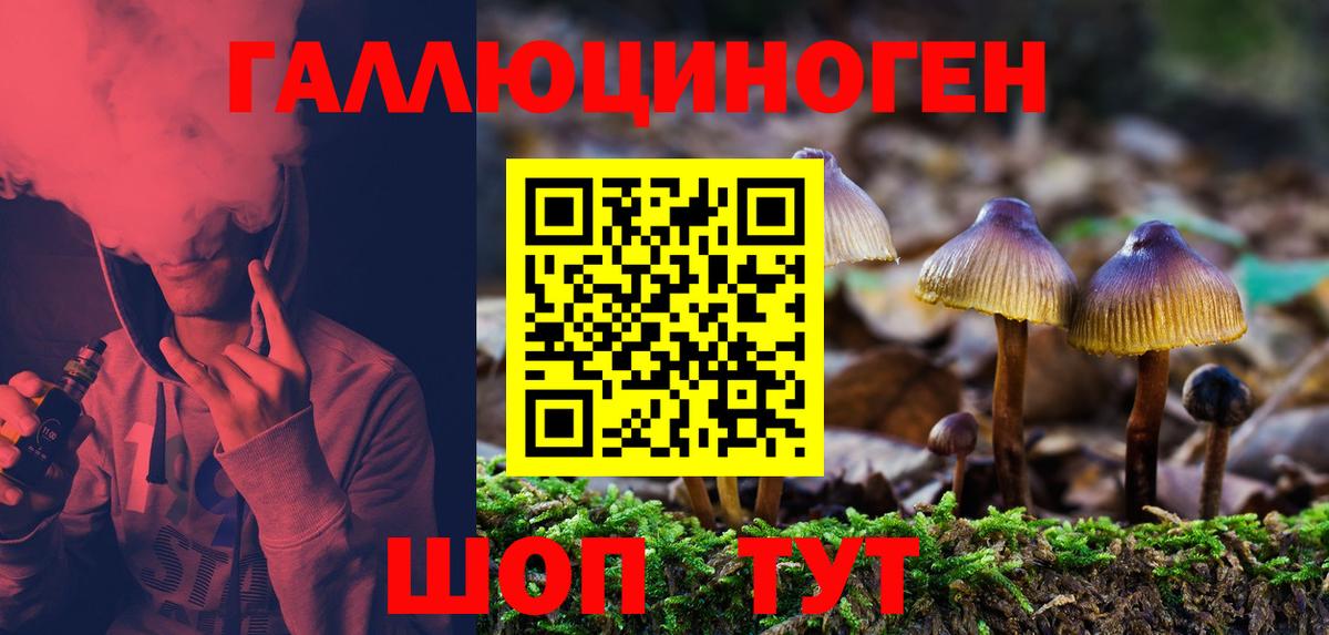 Галлюциногенные грибы ЛСД  Псилоцибиновые грибы Psilocybine cubensis  Вход с VPN  Амурск 