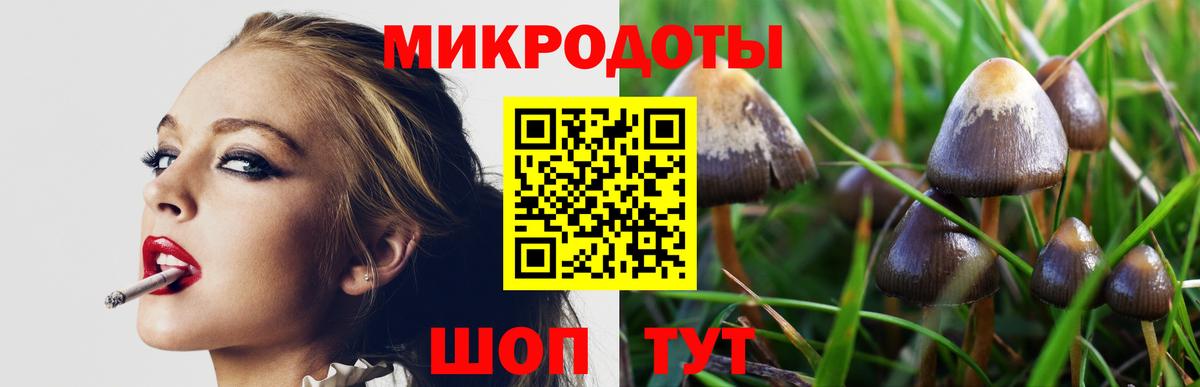 Галлюциногенные грибы мухоморы Амурск